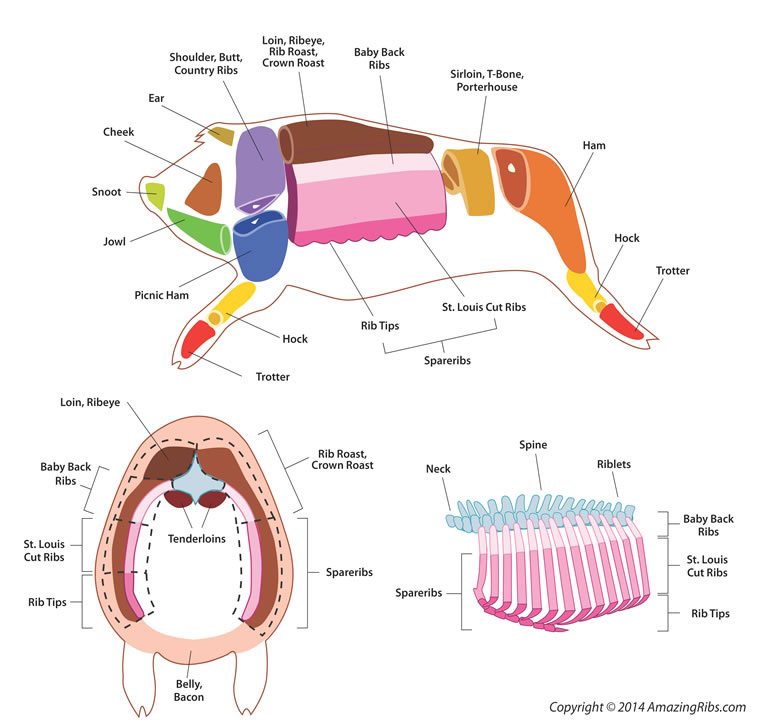 Difference Between Spare Ribs and Baby Back Ribs