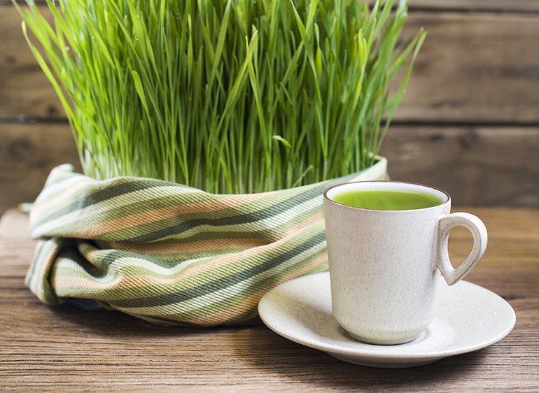 Best Wheatgrass Juicer: Top Things You Should Now Before ...